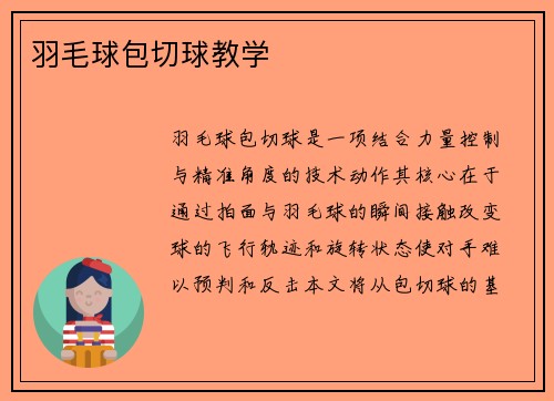 羽毛球包切球教学